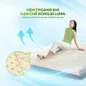 Nệm cao su thiên nhiên Gummi Classic thế hệ mới dày 5/10/15cm - Ảnh thumb 3