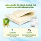 Nệm cao su thiên nhiên Gummi Classic thế hệ mới dày 5/10/15cm - Ảnh thumb 8