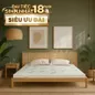 Nệm cao su thiên nhiên Gummi Classic thế hệ mới dày 5/10/15cm - Ảnh thumb 1