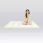 Nệm cao su thiên nhiên Gummi Classic thế hệ mới dày 5/10/15cm - Ảnh thumb 9