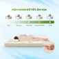Nệm cao su thiên nhiên Gummi Classic thế hệ mới dày 5/10/15cm - Ảnh thumb 2