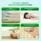 Nệm cao su thiên nhiên Gummi Classic thế hệ mới dày 5/10/15cm - Ảnh thumb 5