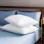 Gối bông Doona Promo - Ảnh thumb 1