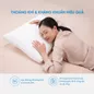 Gối lông vũ Doona Dream Cloud cao cấp siêu êm ái - Ảnh thumb 4