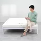 Nệm cao su Gummi 7zones nhập khẩu dày 12cm - Ảnh thumb 8