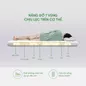 Nệm cao su Gummi 7zones nhập khẩu dày 12cm - Ảnh thumb 3