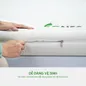 Nệm cao su Gummi 7zones nhập khẩu dày 12cm - Ảnh thumb 5