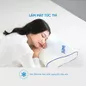 Gối foam Doona Restful công thái học giảm đau cổ vai gáy - Ảnh thumb 5