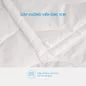 Ruột chăn bông Doona Basic cao cấp - Ảnh thumb 6