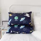 Vỏ gối cotton Amando Dream - Ảnh thumb 37