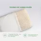 Gối cao su Gummi Standard 100% thiên nhiên thoáng khí - Ảnh thumb 5