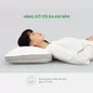 Gối cao su Gummi Standard 100% thiên nhiên thoáng khí - Ảnh thumb 6