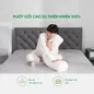 Gối ôm Cao su Gummi Body 100% thiên nhiên thoáng mát - Ảnh thumb 5