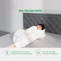 Gối ôm Cao su Gummi Body 100% thiên nhiên thoáng mát - Ảnh thumb 4