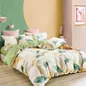 Bộ chăn ga Amando Dormi - Ảnh thumb 3