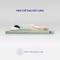 Nệm bông ép Goodnight Nova gấp 3 dày 5/9cm - Ảnh thumb 4