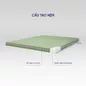 Nệm bông ép Goodnight Nova gấp 3 dày 5/9cm - Ảnh thumb 3