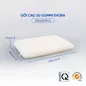 Gối cao su Gummi Evora 100% thiên nhiên massage thoáng khí - Ảnh thumb 1