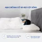 Gối cao su Gummi Evora 100% thiên nhiên massage thoáng khí - Ảnh thumb 6