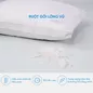 Gối lông vũ Doona Sandwich cao cấp kháng khuẩn - Ảnh thumb 3