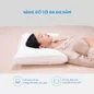 Gối lông vũ Doona Sandwich cao cấp kháng khuẩn - Ảnh thumb 6