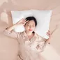 Gối lông vũ Doona Sandwich cao cấp kháng khuẩn - Ảnh thumb 7