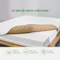 Nệm cao su cao cấp Gummi Legend nhập khẩu dày 20cm - Ảnh thumb 3