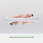 Nệm cao su cao cấp Gummi Legend nhập khẩu dày 20cm - Ảnh thumb 8