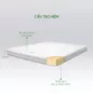 Nệm cao su cao cấp Gummi Legend nhập khẩu dày 20cm - Ảnh thumb 2