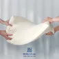 Gối cao su Gummi Cookie 100% thiên nhiên nâng đỡ cổ vai gáy - Ảnh thumb 6