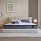 Nệm lò xo King Koil Serene Pure cân bằng trọng lực dày 26cm (Phiên bản giới hạn) - Ảnh thumb 1
