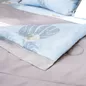 Chăn chần AMD Bliss tencel - Ảnh thumb 11
