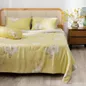 Chăn chần AMD Bliss tencel - Ảnh thumb 8