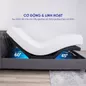 Giường thông minh SleepTek 2.0 - Ảnh thumb 13