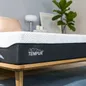 (Phiên bản giới hạn) Nệm Foam Tempur Pro Plus Medium Firm tương thích toàn diện dày 25cm - Ảnh thumb 2