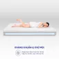 Nệm foam làm mát, kháng khuẩn nâng đỡ 5 vùng Comfy Lux 1.0 - Ảnh thumb 8