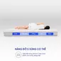 Nệm foam làm mát, kháng khuẩn nâng đỡ 5 vùng Comfy Lux 1.0 - Ảnh thumb 4