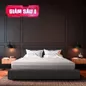 Nệm foam làm mát, kháng khuẩn nâng đỡ 5 vùng Comfy Lux 1.0 - Ảnh thumb 1
