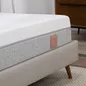 Nệm foam Comfy Lux 2.0 cao cấp kháng khuẩn kép dày 22cm - Ảnh thumb 11