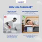 Nệm lò xo Amando Elite Original túi độc lập tiêu chuẩn khách sạn 5 sao dày 23cm - Ảnh thumb 5