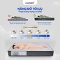 Nệm lò xo Amando Elite Original túi độc lập tiêu chuẩn khách sạn 5 sao dày 23cm - Ảnh thumb 6