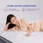 Nệm lò xo túi độc lập Amando Elite Plus giảm tiếng ồn dày 25cm - Ảnh thumb 3