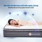 Nệm lò xo túi độc lập Amando Elite Plus giảm tiếng ồn dày 25cm - Ảnh thumb 7