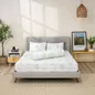Bộ ga chun tencel Amando Celia 4 chi tiết TP001 - Ảnh thumb 4