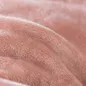 Chăn đông nhung tuyết giữ ấm Amando Warm - Ảnh thumb 4