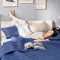 Bộ chăn chần, vỏ gối Microfiber mềm mại, kháng khuẩn Amando Luna 3 chi tiết - Ảnh thumb 1