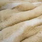 Chăn đông lông chồn cao cấp giữ ấm Amando Warm - Ảnh thumb 14