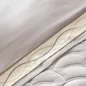 Bộ Chăn ga lụa tencel cao cấp Amando Soulmate 7 chi tiết màu Xám - Ảnh thumb 9