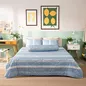 Bộ Ga chun microfiber Amando Ellie họa tiết 5 chi tiết M02 - Ảnh thumb 4