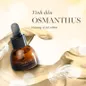 Tinh dầu Sasana Osmanthus - Ảnh thumb 1